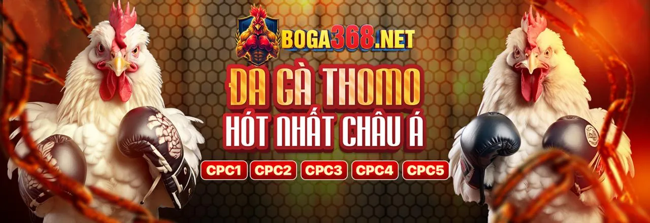 Quy trình đăng ký tài khoản bj3888