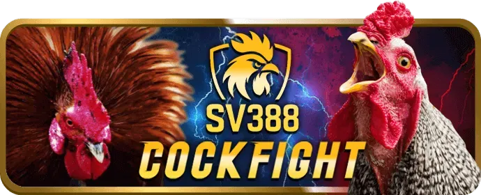 Mạng xã hội và cộng đồng bj3888