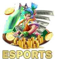 Biểu tượng chương trình VIP